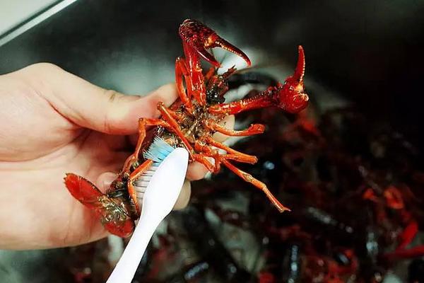 小龙虾怎么吃?