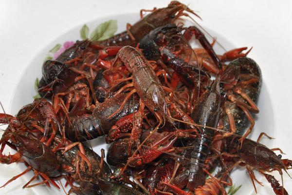 小龙虾怎么清洗干净?