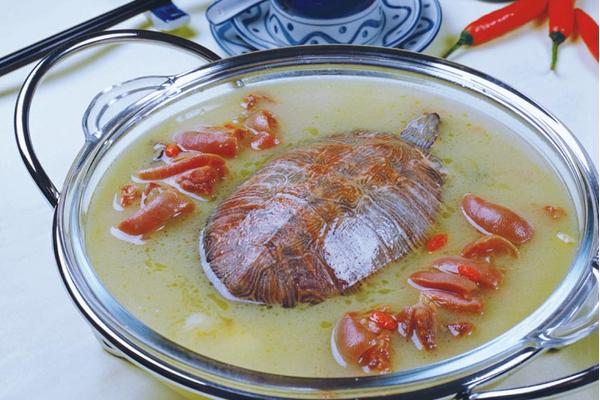 乌龟怎么吃?乌龟的家常吃法