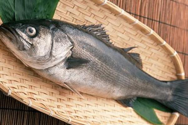 鲈鱼是发物吗?