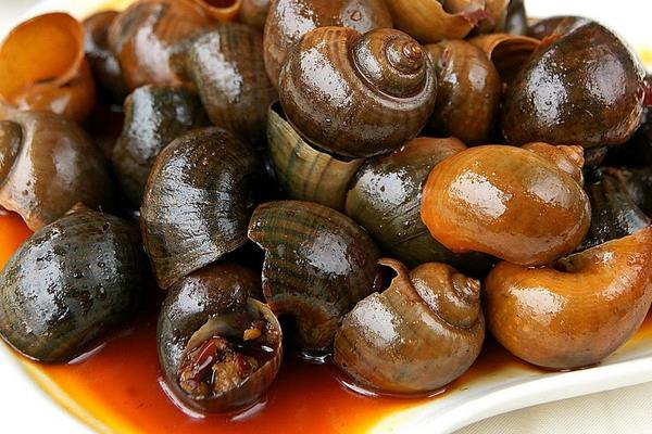 市场上卖的田螺是哪种品种?