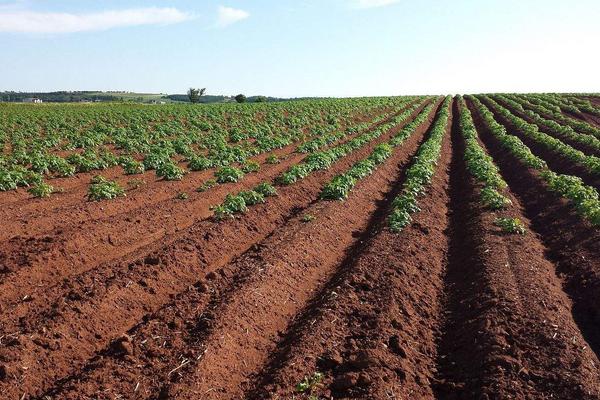 什么是“富碳农业”?一种全新的农业理念和模式