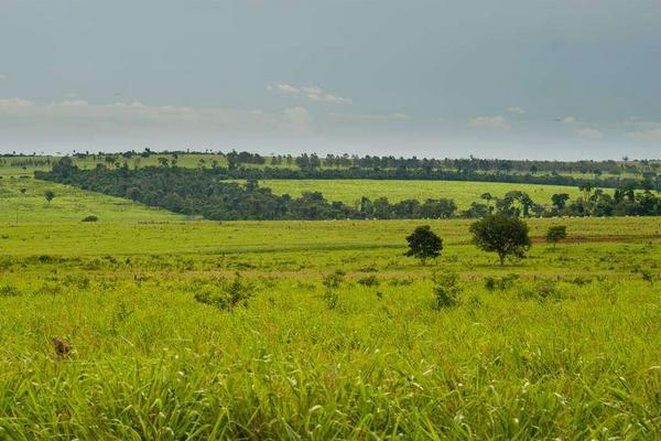 什么是“富碳农业”?一种全新的农业理念和模式