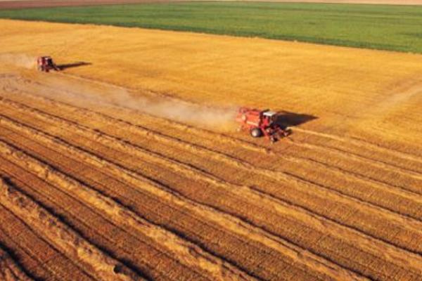 什么是“富碳农业”?一种全新的农业理念和模式