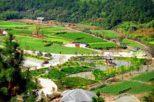 什么是“富碳农业”?一种全新的农业理念和模式