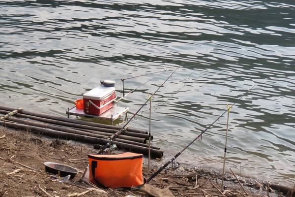 鲤鱼怎么钓?用什么饵料钓鲤鱼好?