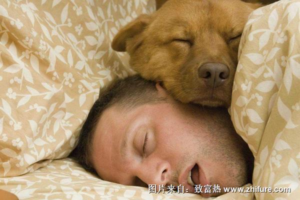 梦见青蛙是什么意思?