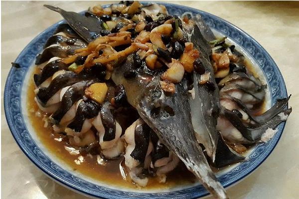 鲟鱼价格多少钱一斤?