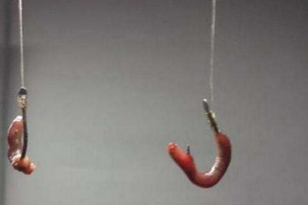 用蚯蚓钓鱼怎样调漂?