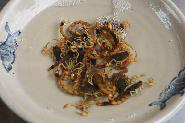 蝎子泡酒有什么功效?