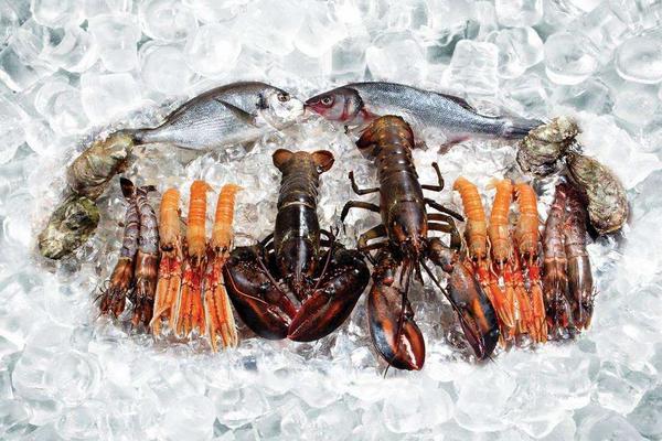 波士顿龙虾多少钱一斤?