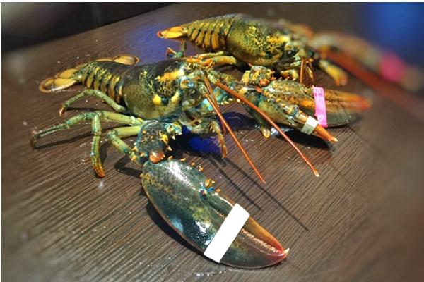 波士顿龙虾怎么杀?