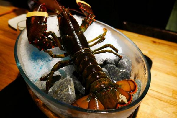 波士顿龙虾怎么杀?
