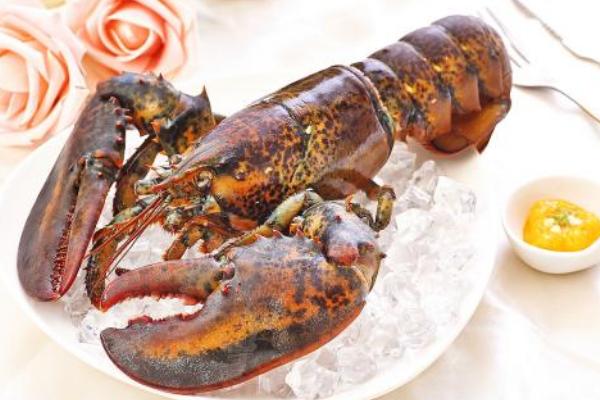 波士顿龙虾怎么杀?