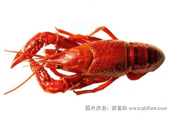 油焖小龙虾怎么做?