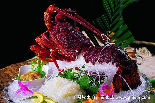 澳洲龙虾多少钱一斤?