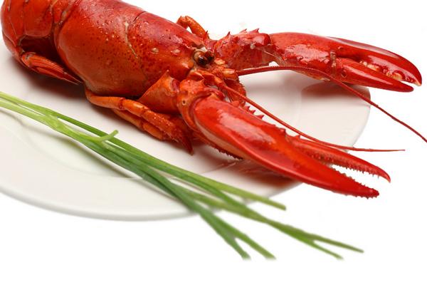 波士顿龙虾和澳洲龙虾的区别是什么?