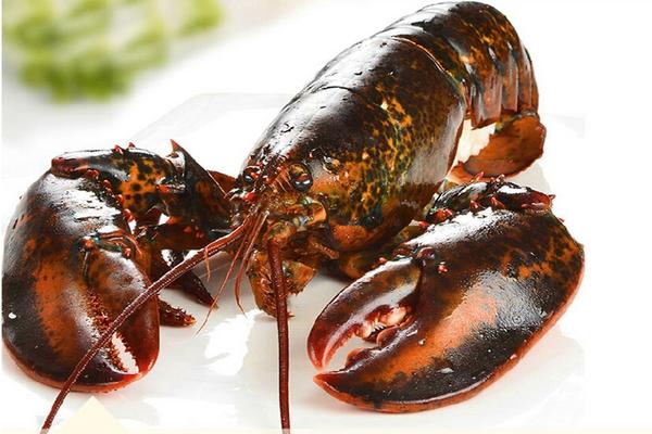 波士顿龙虾蒸多长时间?