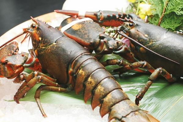 波士顿龙虾蒸多长时间?