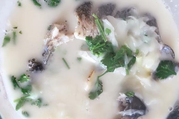 鸭嘴鱼怎么做好吃?