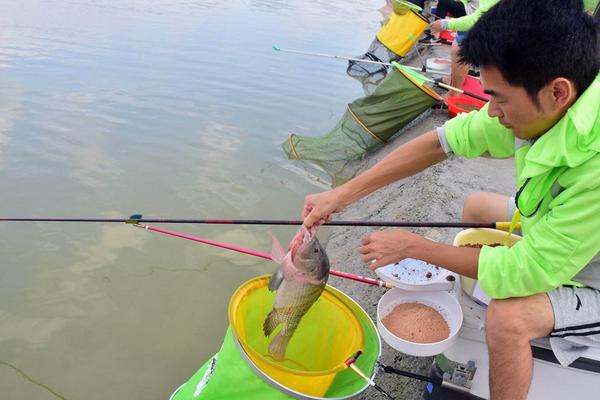 罗非鱼市场价格多少钱一斤?