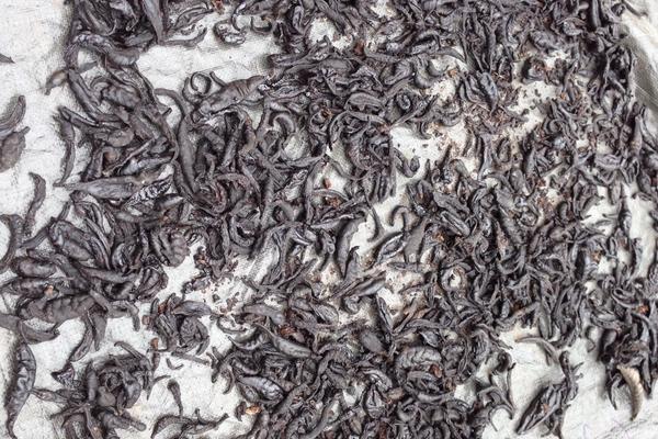 水蛭市场价格多少钱一斤?