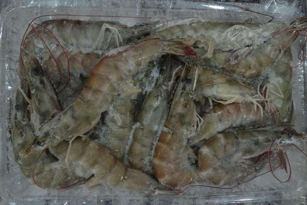 对虾为什么叫对虾?