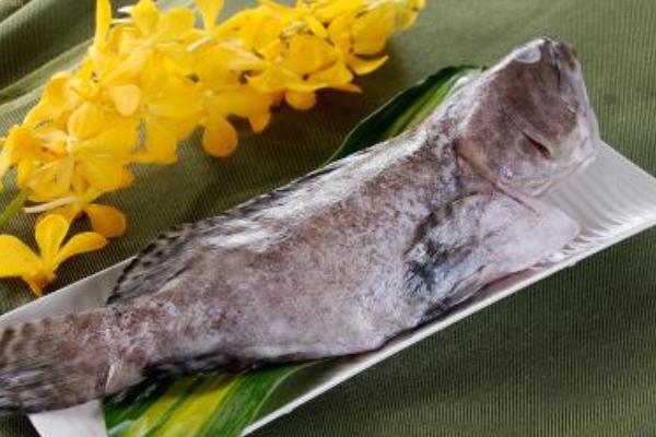 孕妇能吃石斑鱼吗?