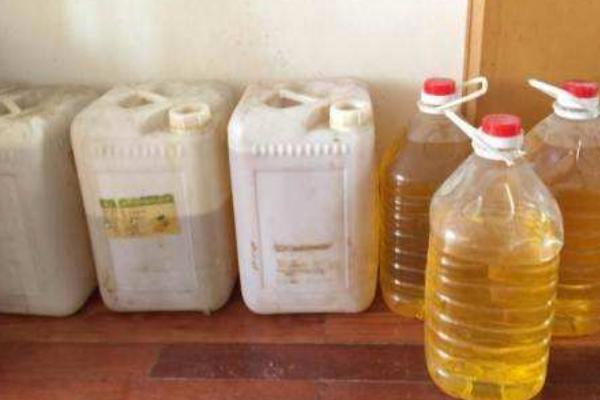 花生出油率是多少?