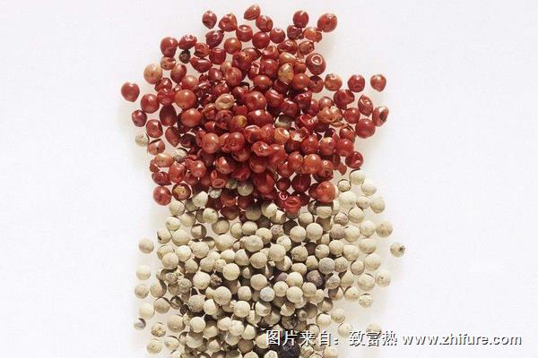 胡椒和花椒的区别是什么?