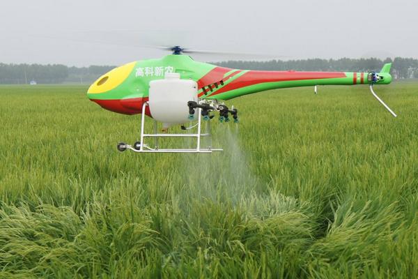 杂交水稻亩产多少斤?