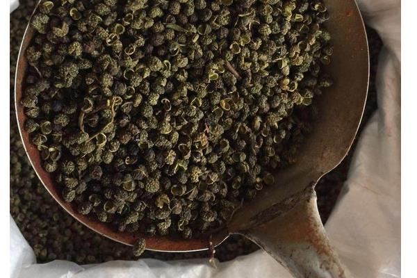 花椒什么时候采摘?