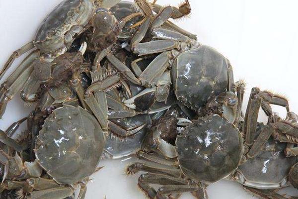 河蟹不能与什么同食？