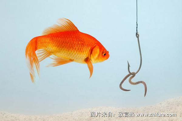 蚯蚓钓鱼用什么打窝?