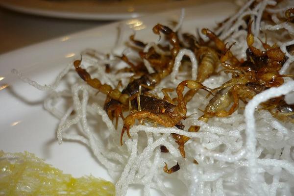 蝎子怎么吃？