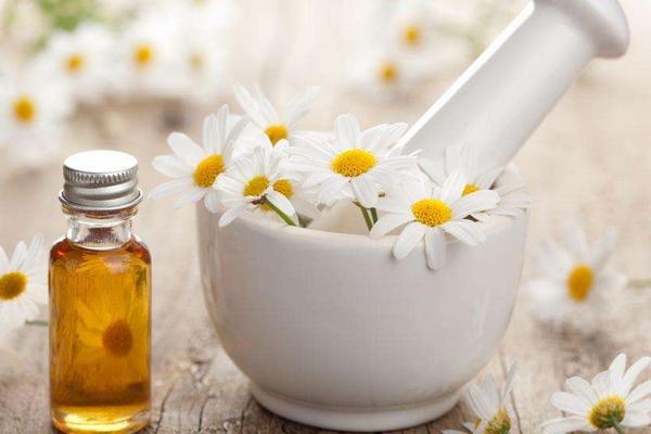 茶树精油价格多少钱一瓶?