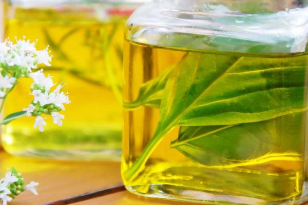 茶树精油价格多少钱一瓶?