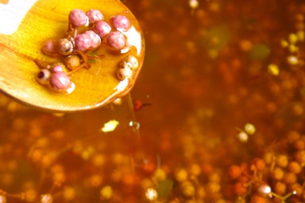 新鲜花椒怎么保存?