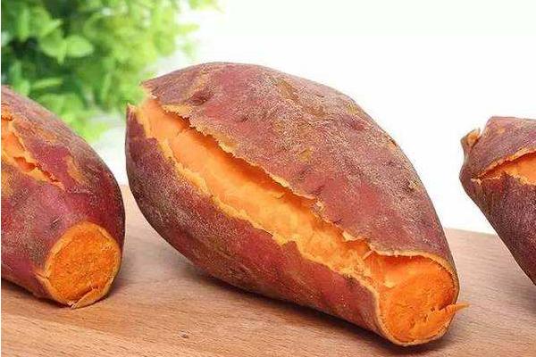 红薯发芽后是否有毒?