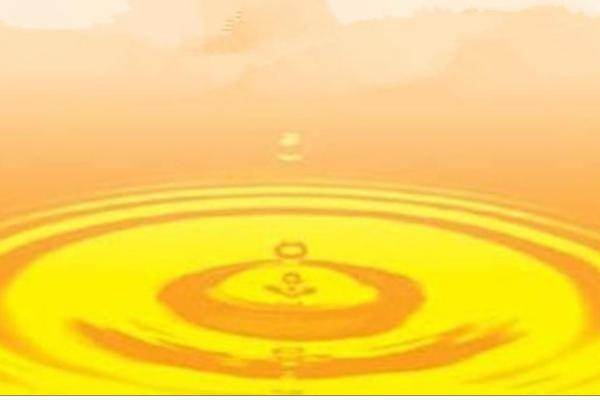 玉米油和大豆油哪个好?