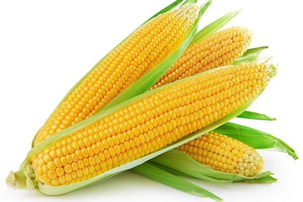 玉米粥怎么做？