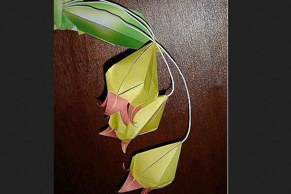 铃兰花的折法(图解)