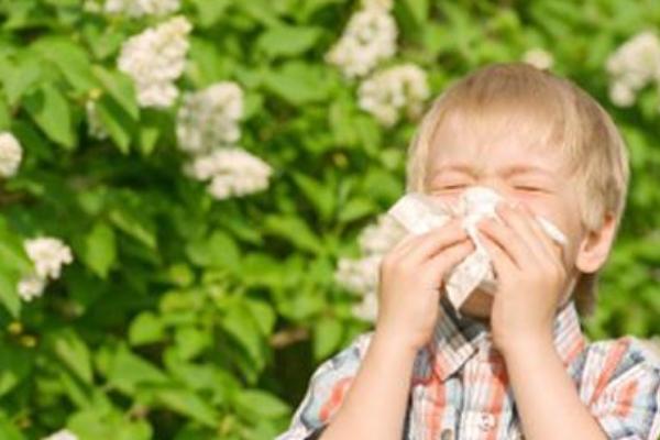 百合花过敏怎么办