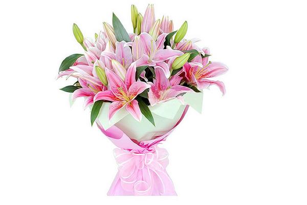 香水百合多少钱一支