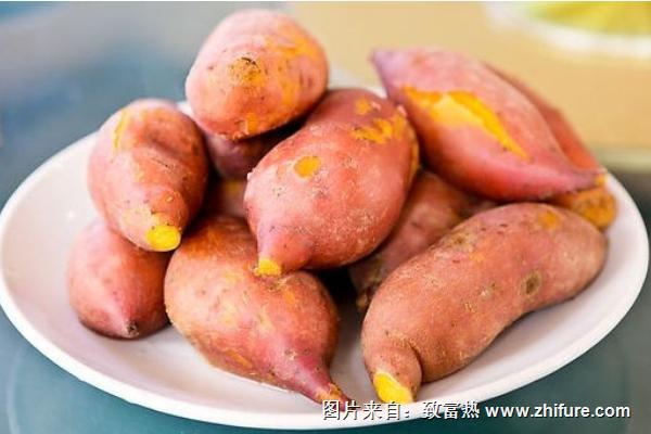 吃红薯能丰胸吗?