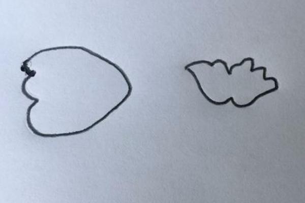 牡丹花怎么画(图解步骤)