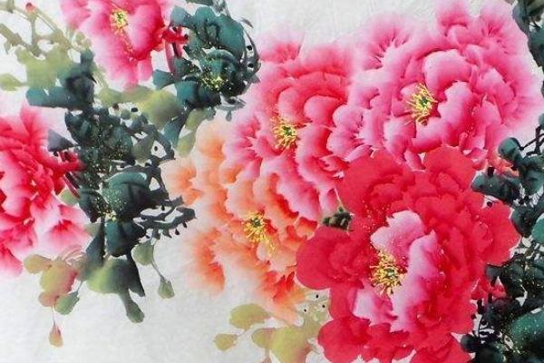 牡丹花怎么画(图解步骤)