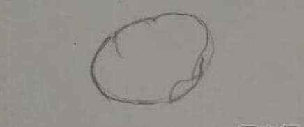 玫瑰花简笔画怎么画(图解步骤)