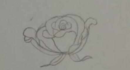 玫瑰花简笔画怎么画(图解步骤)