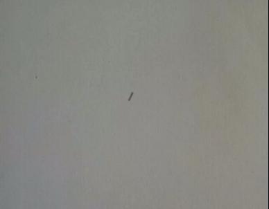 玫瑰花简笔画怎么画(图解步骤)